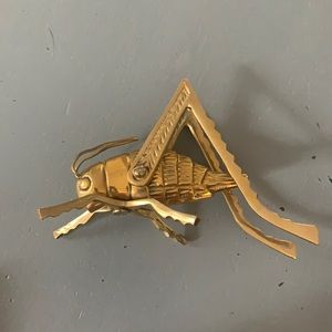 Golden cricket